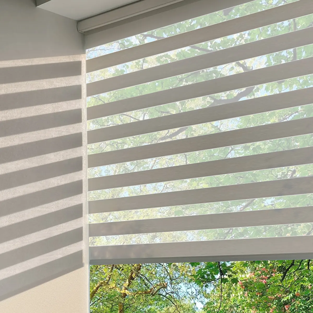 Cordless Blinds Day and Night Blackout Dual Shade Motorized Zebra Blinds for Bedroom Living Room Zebra Blind for Windows
